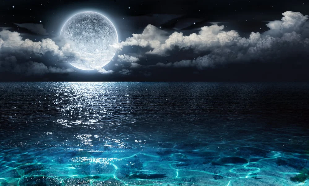 Ánh Trăng - Moonlight (2016) Ánh Trăng - Moonlight (2016)