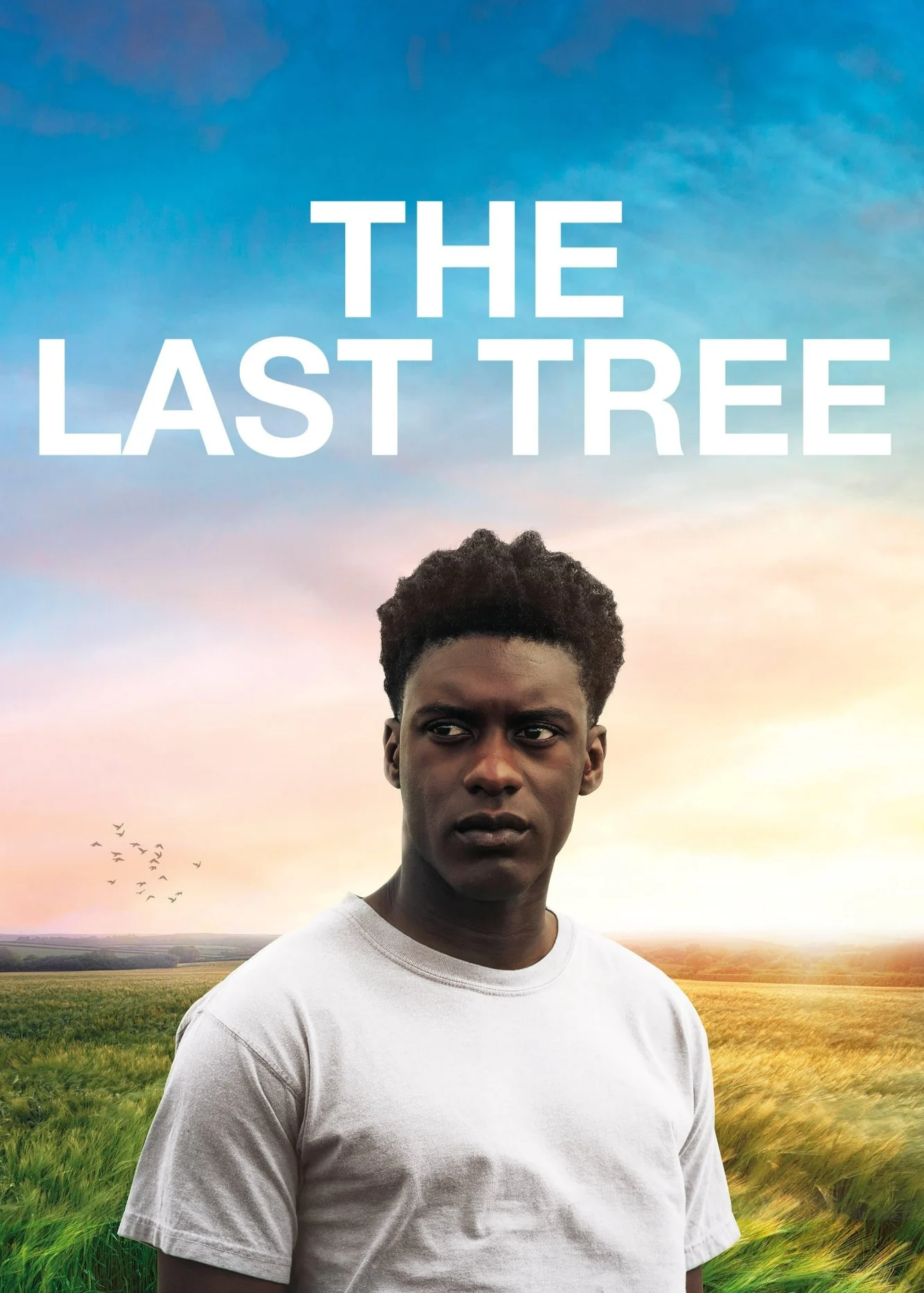 The Last Tree - The Last Tree (2019) The Last Tree - The Last Tree (2019)