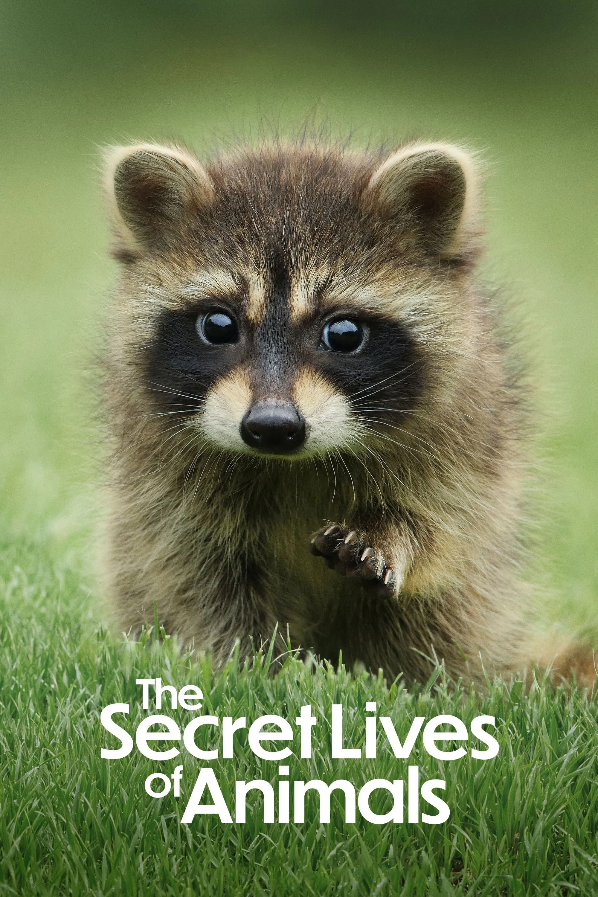Bí Ẩn Về Thế Giới Động Vật - The Secret Lives of Animals (2024) Bí Ẩn Về Thế Giới Động Vật - The Secret Lives of Animals (2024)