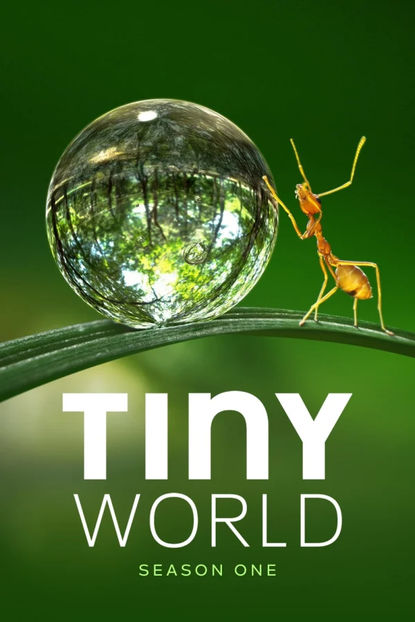 Thế Giới Siêu Nhỏ (Phần 1) - Tiny World (Season 1) (2020) Thế Giới Siêu Nhỏ (Phần 1) - Tiny World (Season 1) (2020)