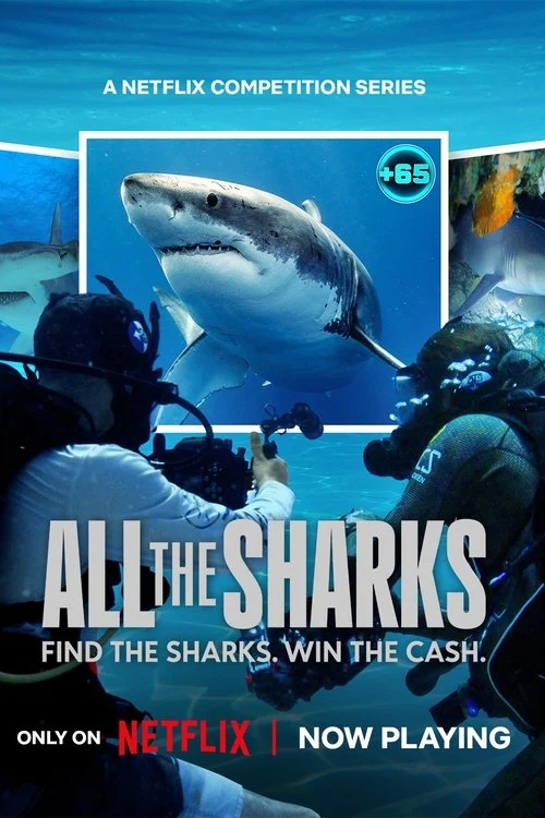 Đi Tìm Cá Mập - All The Sharks (2025) Đi Tìm Cá Mập - All The Sharks (2025)