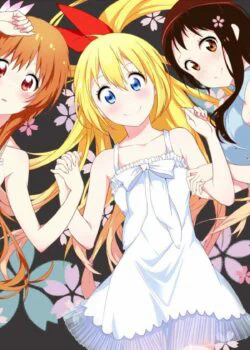 Tình Yêu Ngang Trái - NiseKoi (2013) Tình Yêu Ngang Trái - NiseKoi (2013)