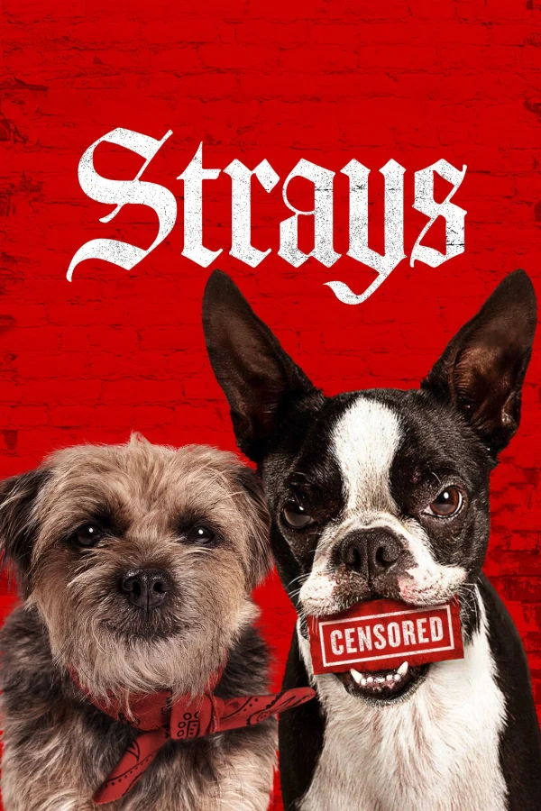 Đời Quá Chó (Những Chú Chó Bụi Đời) - Strays (2023) Đời Quá Chó (Những Chú Chó Bụi Đời) - Strays (2023)