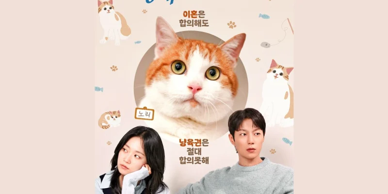 Cuộc Chiến Giành Quyền Nuôi Mèo - Cat Custody War